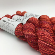 Load image into Gallery viewer, Spincycle Yarns Dyed in the Wool