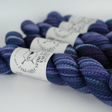 Load image into Gallery viewer, Spincycle Yarns Dyed in the Wool