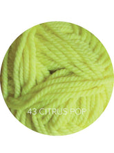 Load image into Gallery viewer, Ewe Ewe Wooly Worsted