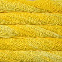 Load image into Gallery viewer, Malabrigo Verano