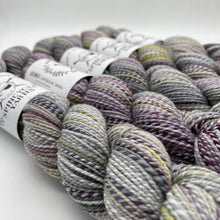 Load image into Gallery viewer, Spincycle Yarns Dyed in the Wool