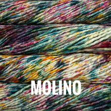 Load image into Gallery viewer, Malabrigo Rasta