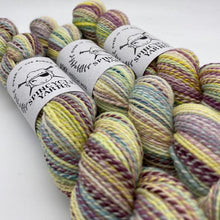 Load image into Gallery viewer, Spincycle Yarns Dyed in the Wool