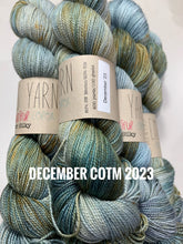 Load image into Gallery viewer, Emma&#39;s Yarn Super Silky
