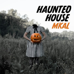 Drop-Ship Haunted House MKAL Kit