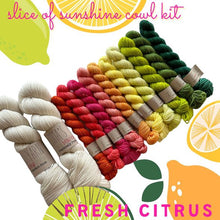 Load image into Gallery viewer, Drop-Ship Slice of Sunshine Cowl Kit
