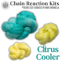Load image into Gallery viewer, Drop-Ship Reaction Shawl Kit
