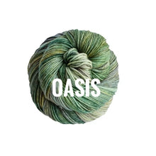 Load image into Gallery viewer, Malabrigo Yarn Arroyo
