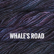 Load image into Gallery viewer, Malabrigo Rasta
