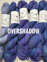 Load image into Gallery viewer, Spincycle Yarns Dyed in the Wool
