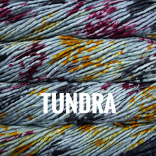 Load image into Gallery viewer, Malabrigo Rasta
