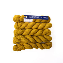 Load image into Gallery viewer, Malabrigo Ultimate Sock Mini Skein
