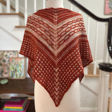 Load image into Gallery viewer, Drop-ship So Swanky Shawl Kit
