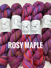 Load image into Gallery viewer, Spincycle Yarns Dyed in the Wool
