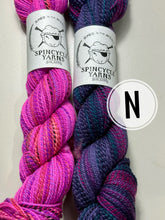 Load image into Gallery viewer, Spincycle Yarns Scarf Kit (Striped)
