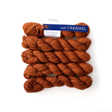 Load image into Gallery viewer, Malabrigo Ultimate Sock Mini Skein
