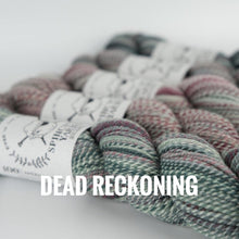 Load image into Gallery viewer, Spincycle Yarns Dyed in the Wool
