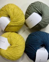 Load image into Gallery viewer, Isabell Kraemer's Che Bello Shawl Kit
