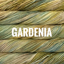 Load image into Gallery viewer, Malabrigo Rios
