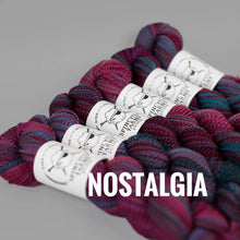 Load image into Gallery viewer, Spincycle Yarns Dyed in the Wool
