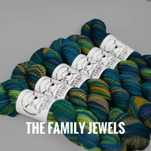 Load image into Gallery viewer, Spincycle Yarns Dyed in the Wool
