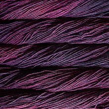 Load image into Gallery viewer, Malabrigo Dos Tierras
