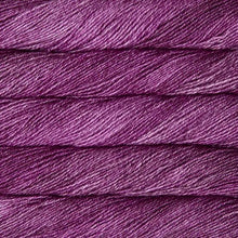 Load image into Gallery viewer, Malabrigo Dos Tierras
