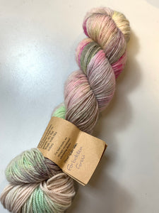 Primrose Yarn Sophia MCN